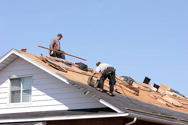 Steel Roofing in Wooster, AR